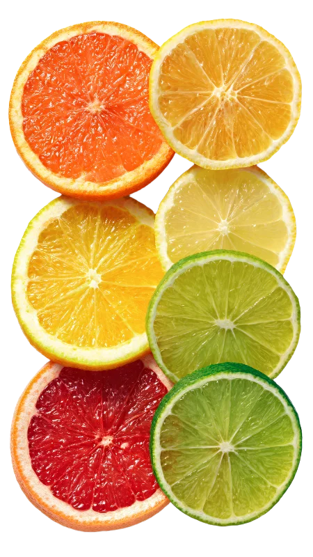 Fresh Citrus Fruit Slices Assortment — Food transparent PNG image, citrus