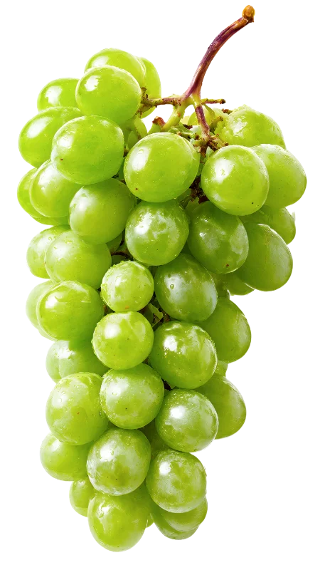 Fresh Cluster of Ripe Green Grapes — Food transparent PNG image, bunch
