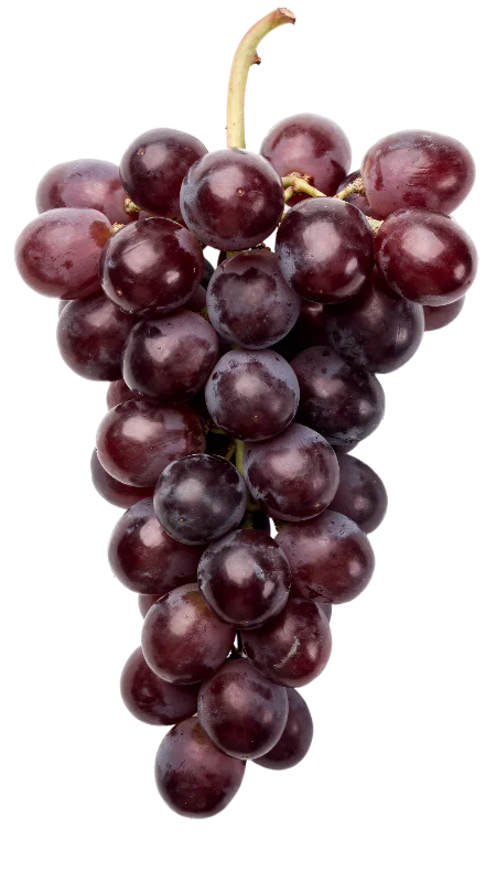 Fresh Cluster of Ripe Red Grapes — Food transparent PNG image, bunch
