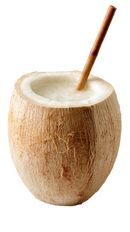 Fresh Coconut Water in a Natural Coconut Shell — Drinks transparent PNG image, beverage