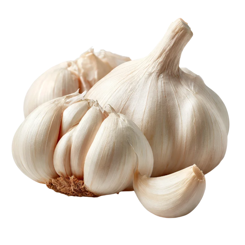 Fresh Garlic Bulbs and Cloves — Food transparent PNG image, bulb