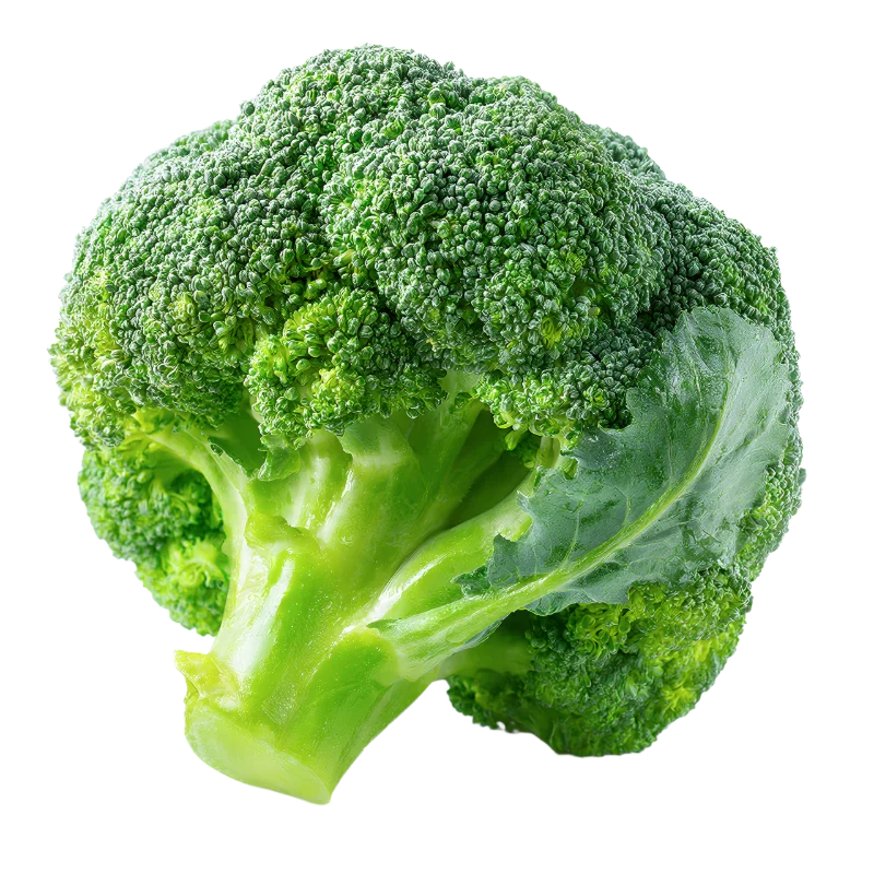 Fresh Green Broccoli Floret — Food transparent PNG image, broccoli
