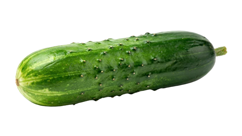 Fresh Green Cucumber Vegetable — Food transparent PNG image, cucumber