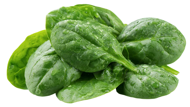 Fresh Green Spinach Leaves with Water Droplets — Food transparent PNG image, fresh