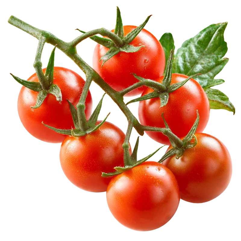 Fresh Red Cherry Tomatoes on the Vine — Food transparent PNG image, cherry