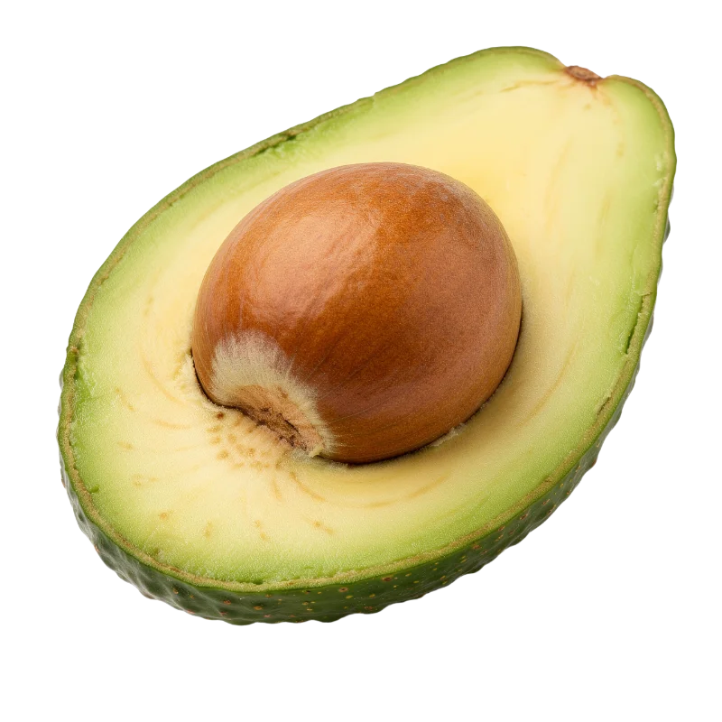 Fresh Ripe Avocado Half with Large Pit — Food transparent PNG image, avocado