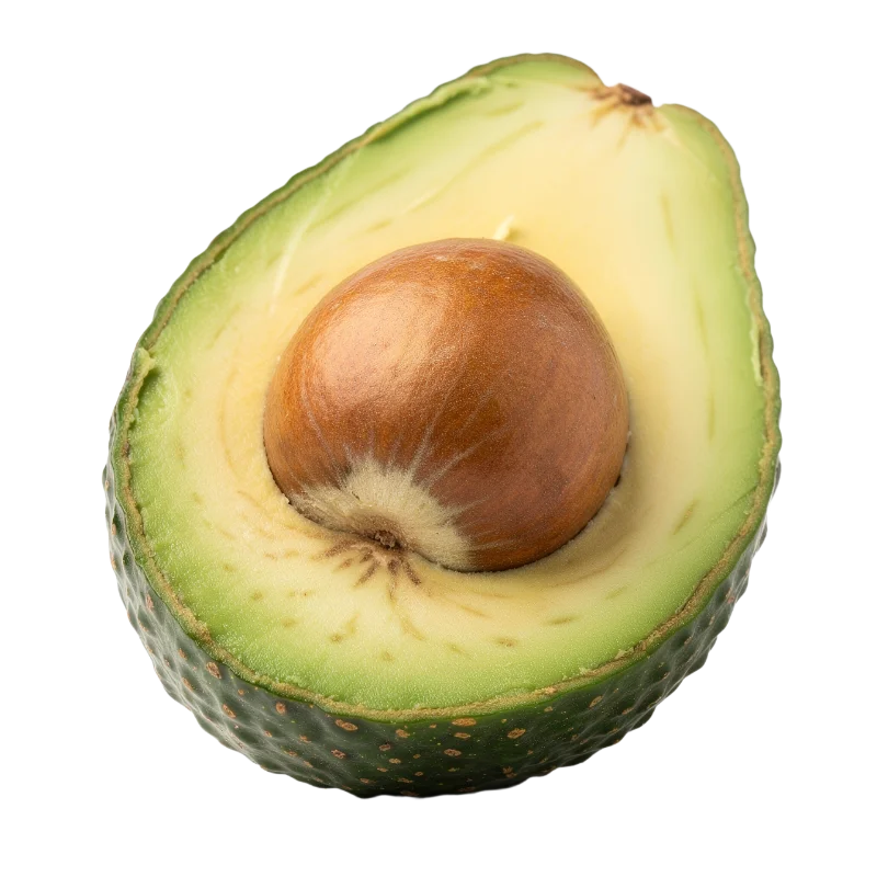 Fresh Ripe Avocado Half with Large Pit — Food transparent PNG image, avocado