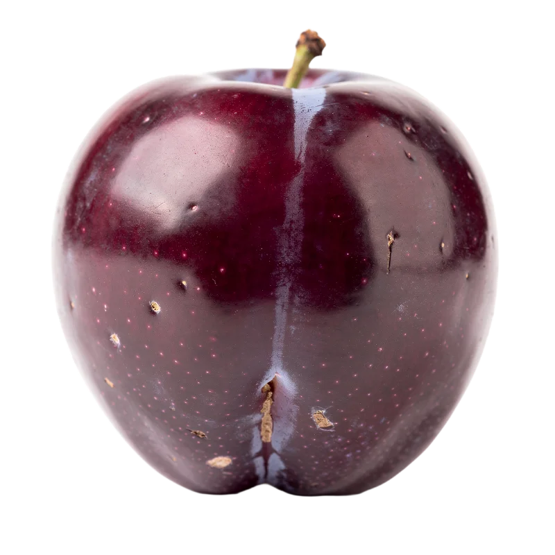 Fresh Ripe Dark Purple Plum — Food transparent PNG image, food