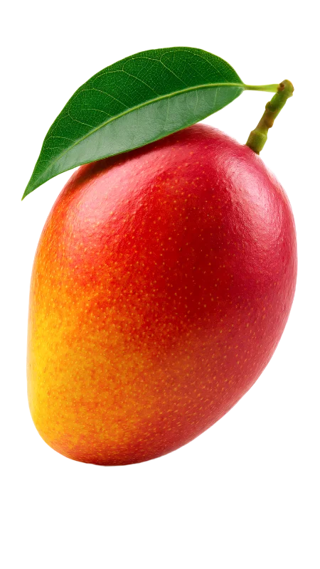 Fresh Ripe Mango Fruit with Green Leaf — Food transparent PNG image, food