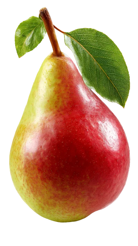 Fresh Ripe Pear with Green Leaves — Food transparent PNG image, fresh