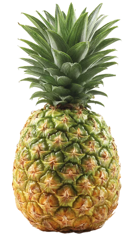 Fresh Ripe Pineapple with Green Leaves — Food transparent PNG image, exotic