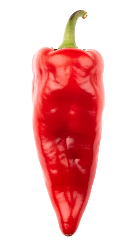 Fresh Ripe Red Chili Pepper — Food transparent PNG image, chili