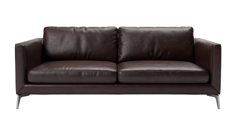 Modern Dark Brown Leather Sofa — Other transparent PNG image, brown