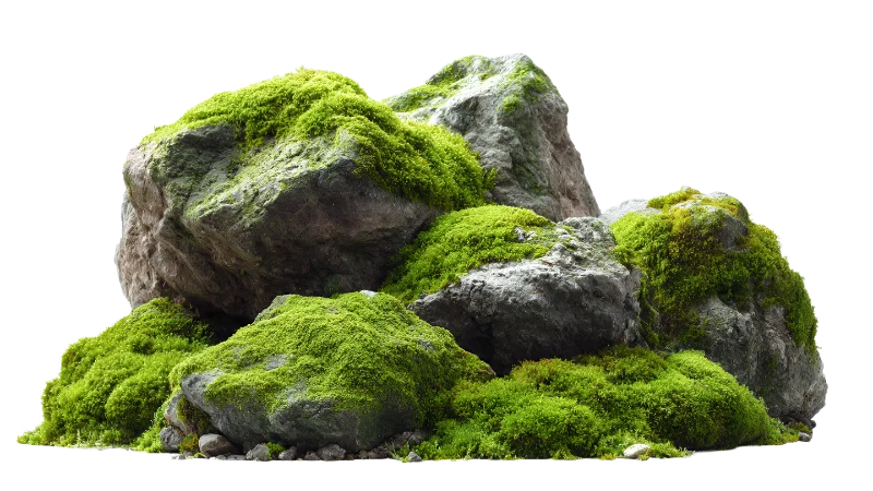 Natural Moss Covered Stones and Rocks — Plants and Flowers transparent PNG image, boulder