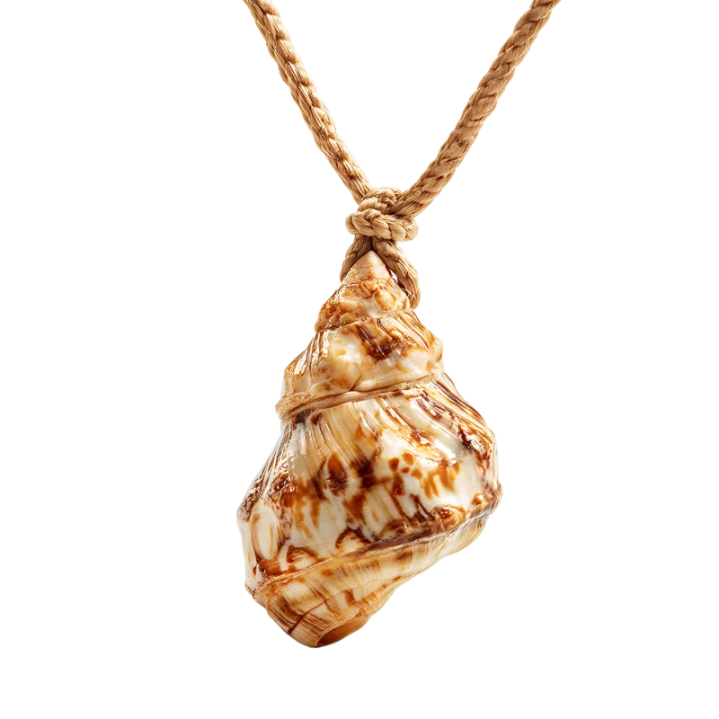 Natural Seashell Pendant Necklace — Hobbies and Leisure transparent PNG image, accessory