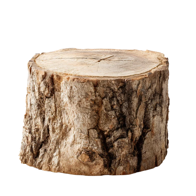Natural Wooden Tree Stump Log — Other transparent PNG image, bark