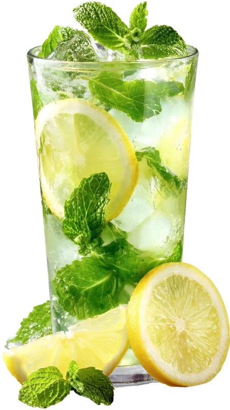 Refreshing Lemon and Mint Mojito Cocktail — Drinks transparent PNG image, beverage